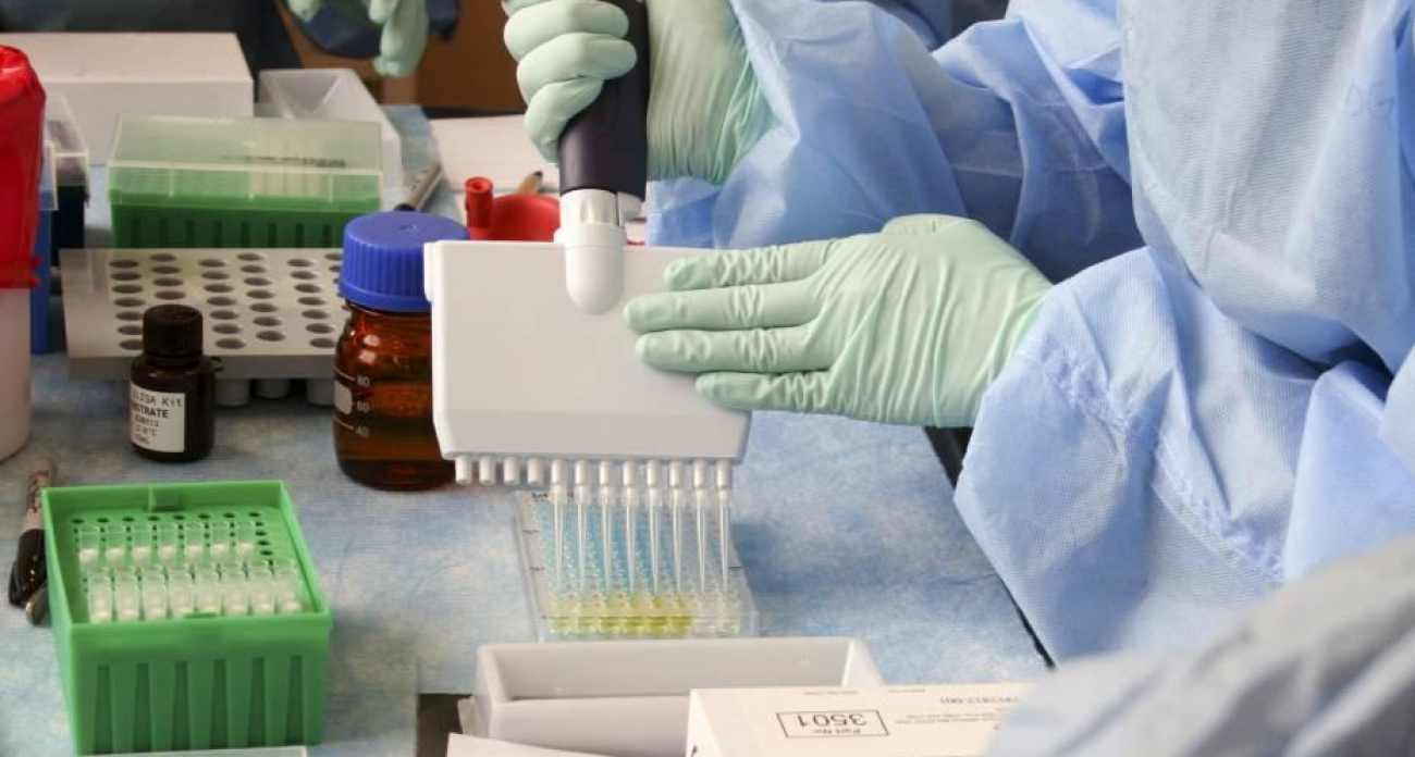 Годовой карантин по бешенству: в Семилуках закрыли 10 улиц в радиусе 500 метров от очага