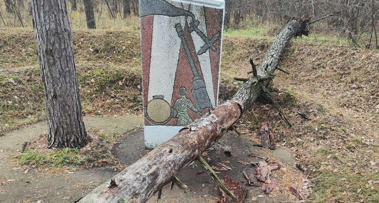 Сосна рухнула в миллиметрах от памятника прожектористам-зенитчикам в Воронеже