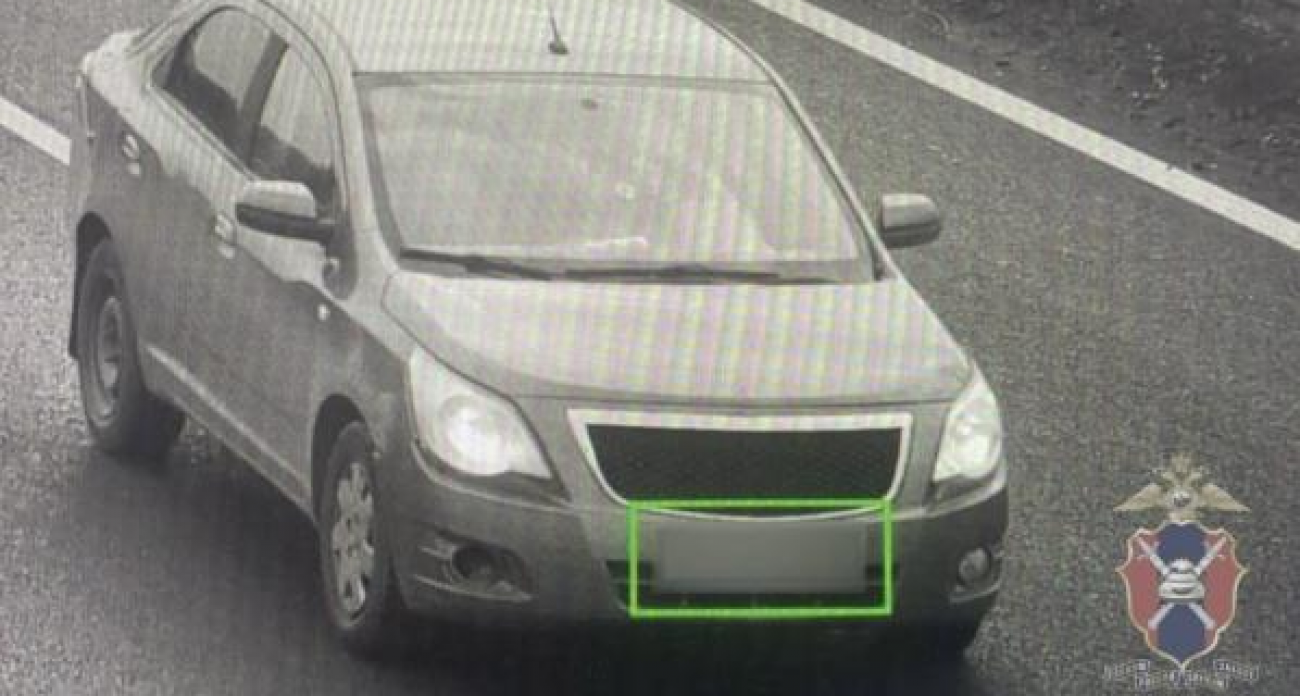 32-летняя воронежская автоледи накопила 46 штрафов на 75 тысяч рублей — её остановили на трассе