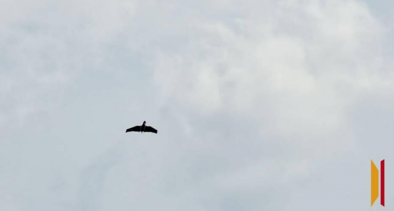 164 украинских БПЛА атаковали Россию: пять уничтожены над Воронежской областью