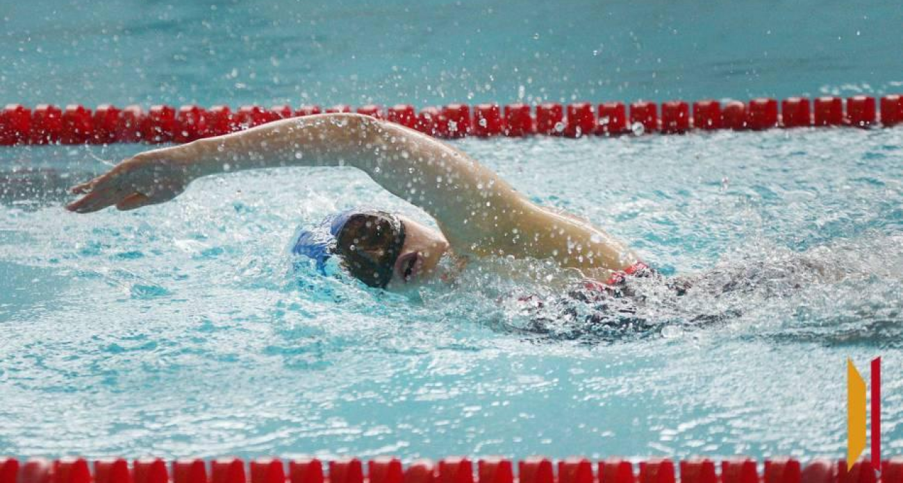 От армрестлинга до ездового спорта: 14 воронежцев получили звание мастера спорта России