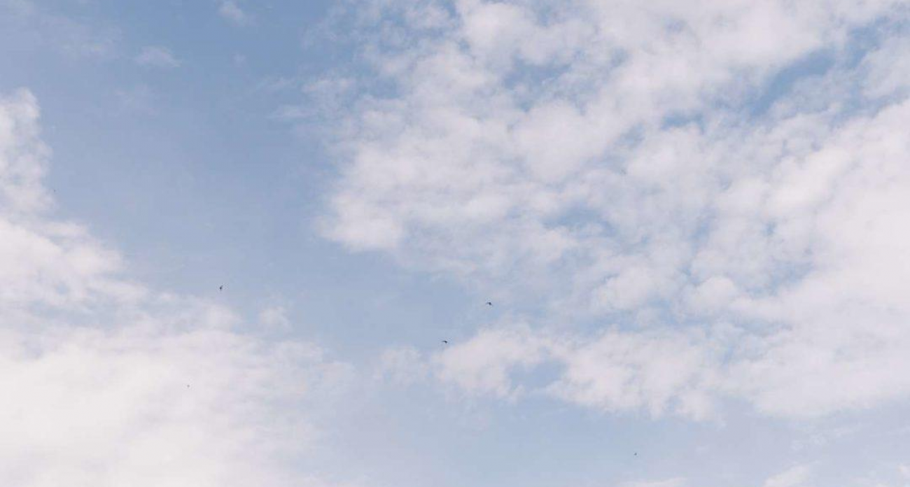 11 часов тревоги: сирены и оповещения не умолкали в Воронежской области всю ночь