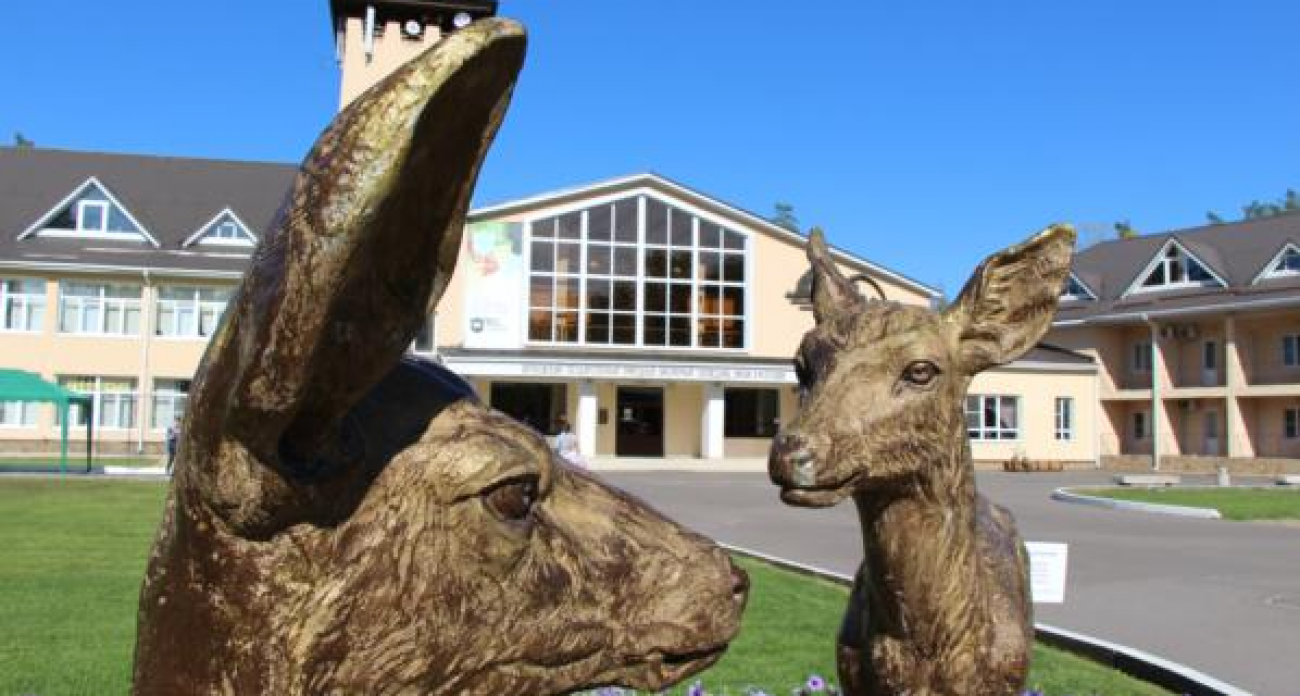 Воронежский заповедник сократил время работы: билеты продают только до 16:30