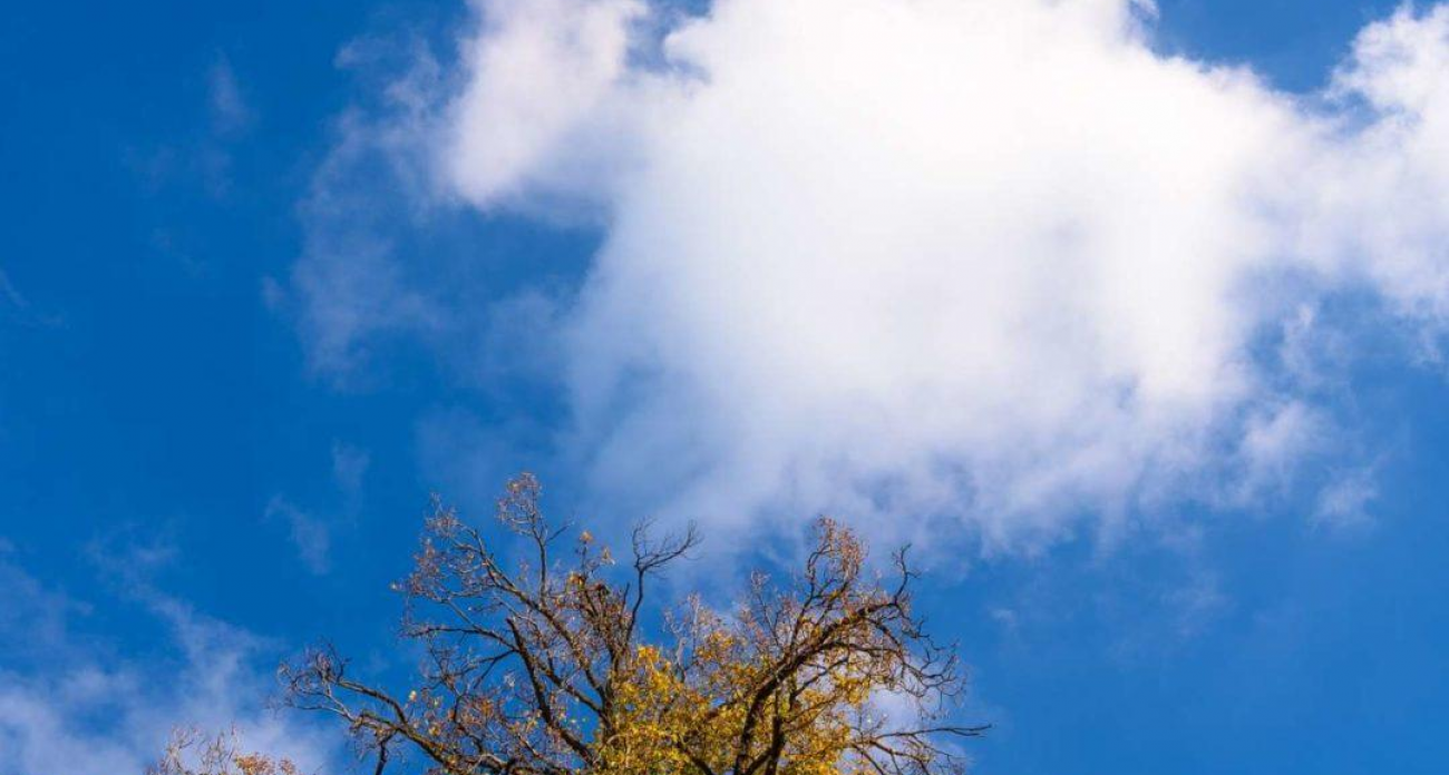 Ночная осада: украинские дроны атаковали Воронежскую область с 22:40 до 8 утра