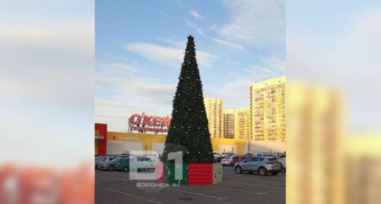 Воронеж в ноябре: елки у гипермаркета на Шишкова и ТЦ «Солнечный рай» открыли новогодний сезон