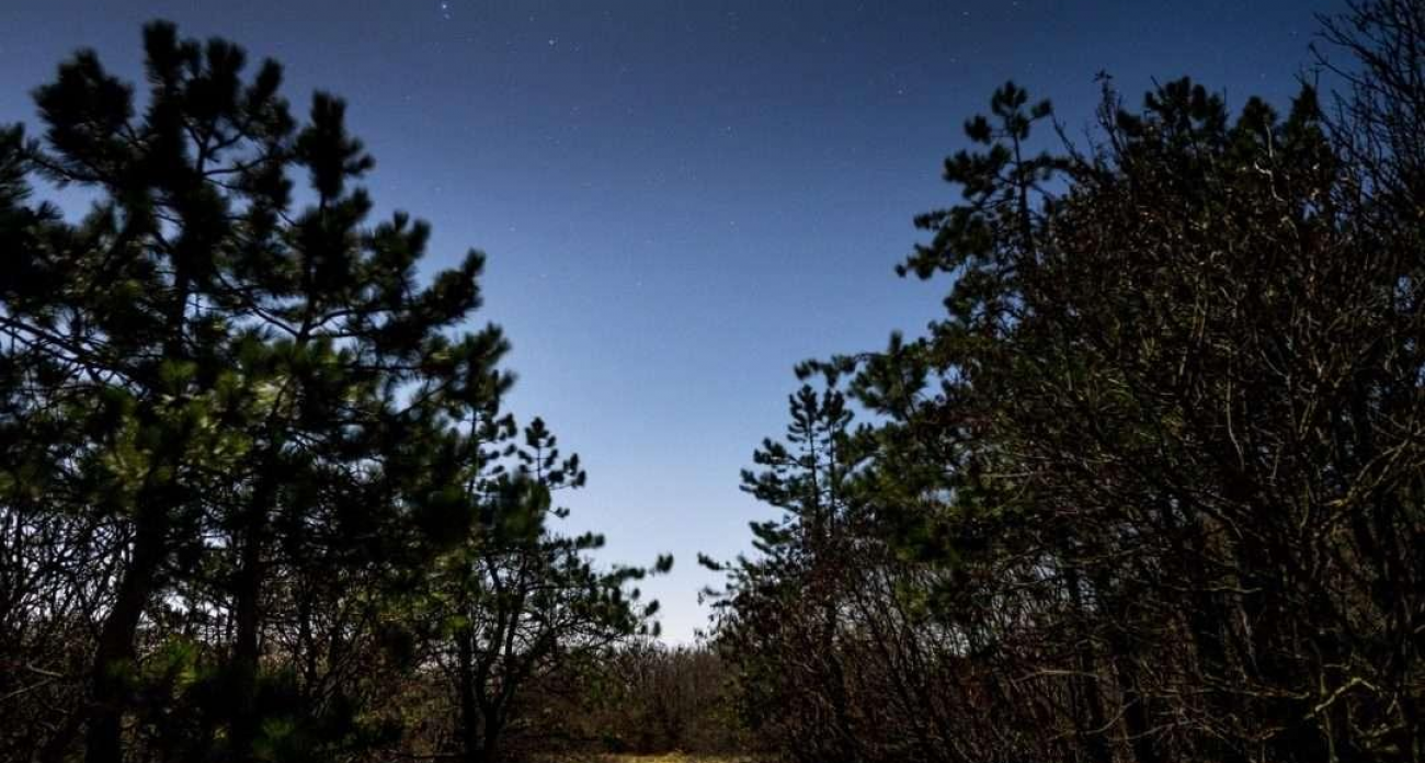 В Воронеже объявили угрозу БПЛА ВСУ после полуночи. Губернатор призвал к спокойствию