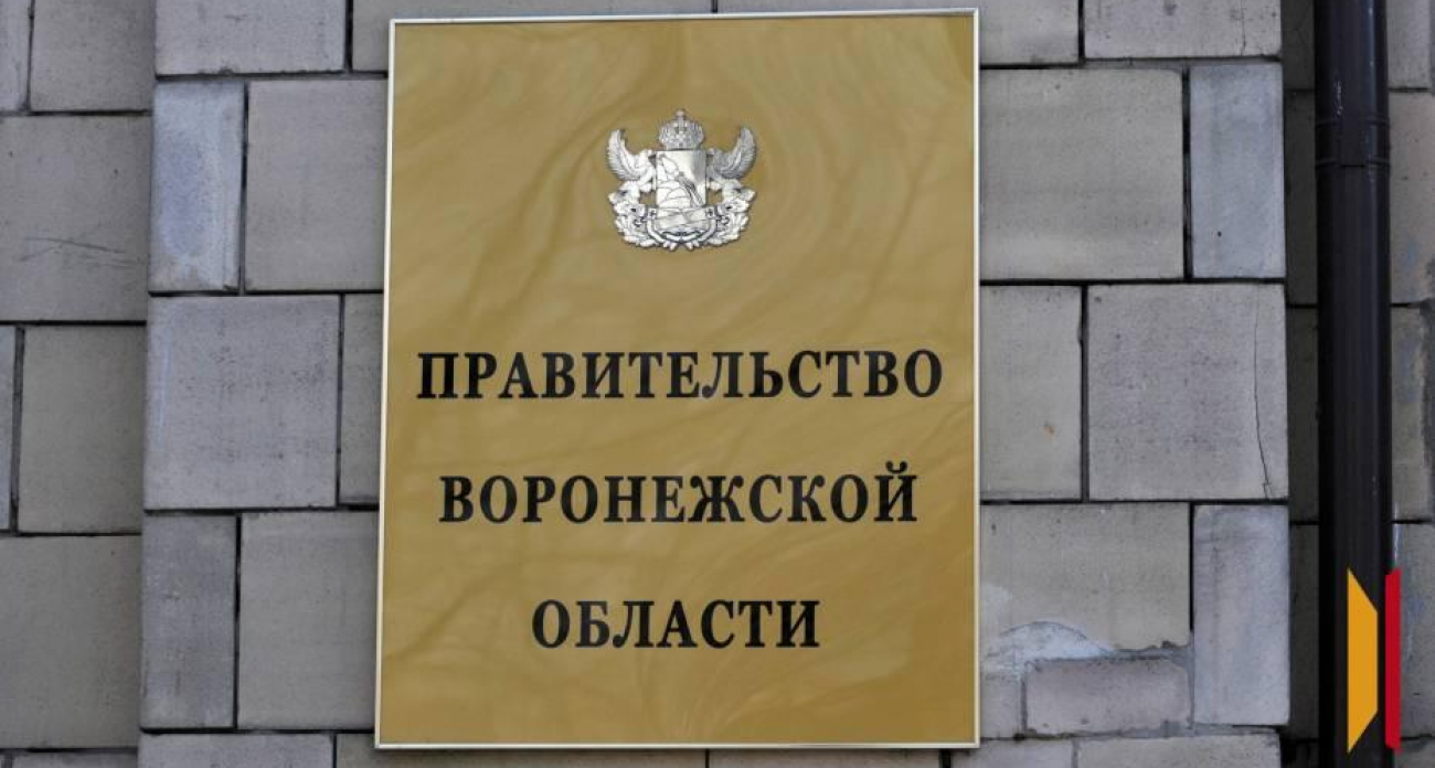 Губернатор Гусев учредил диплом Правительства: кого будут награждать в Воронежской области