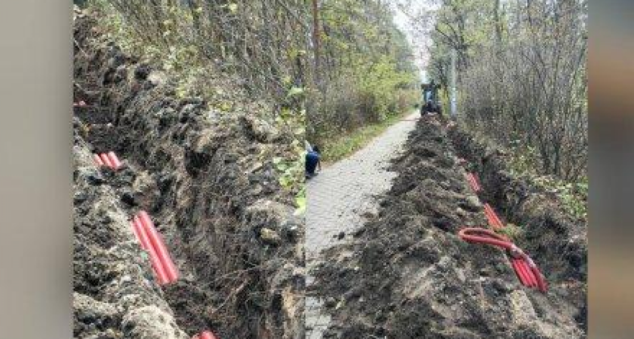 Трактор перерубил корни кустарников в «Танаисе»: активисты пожаловались в мэрию на концессионера