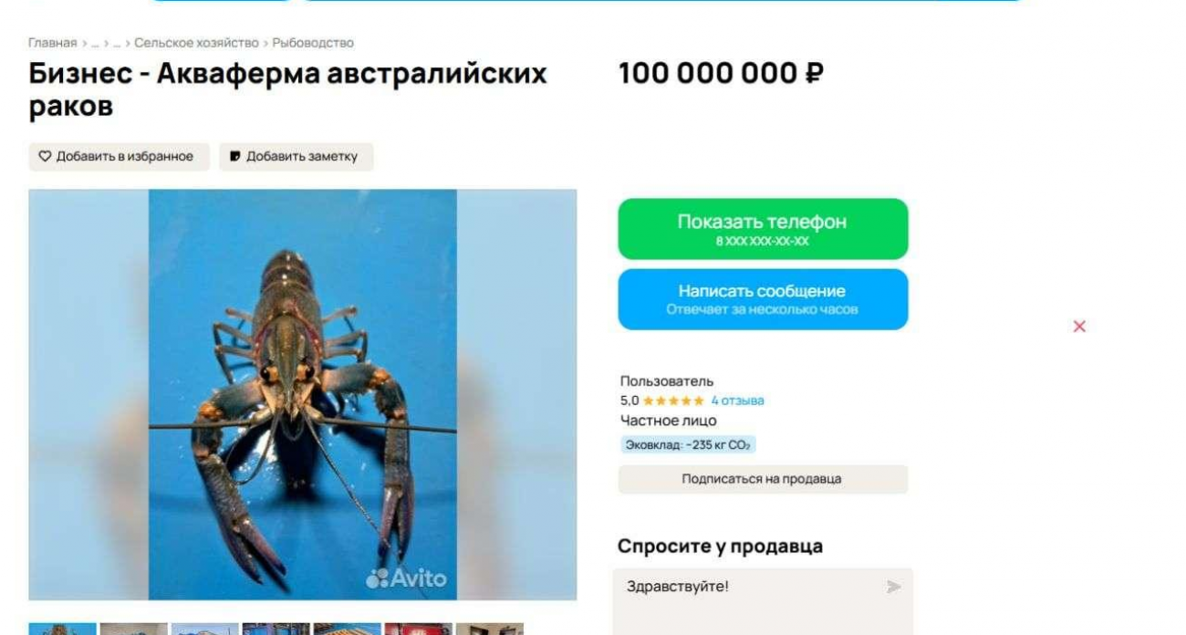 Ферма с производством тонны раков в месяц рухнула в цене со 250 до 100 млн рублей
