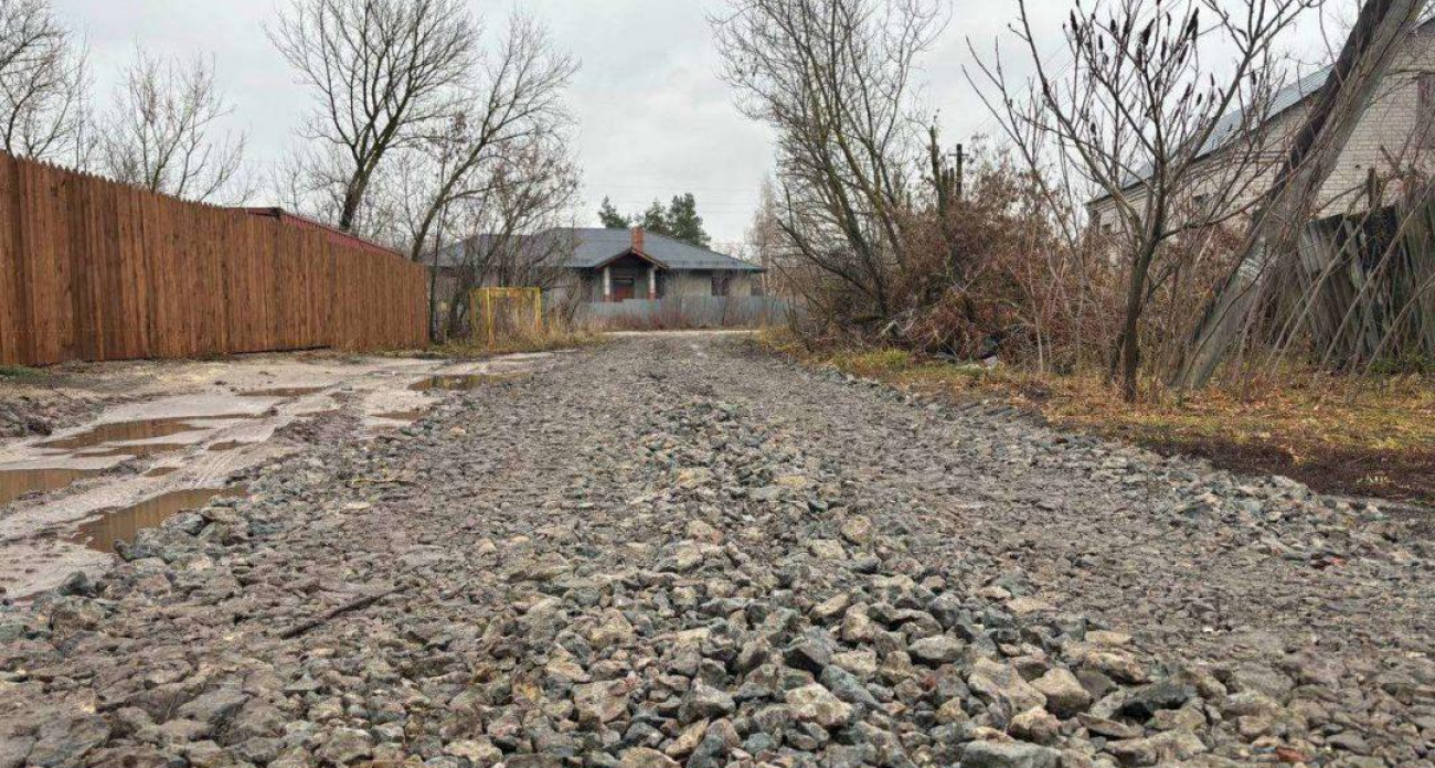 Второй случай бешенства за год: село у трассы М-4 «Дон» закрывают на карантин до февраля