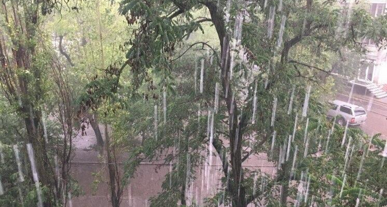 Туман и +12°: Воронежскую область накроют умеренные дожди с юго-восточным ветром