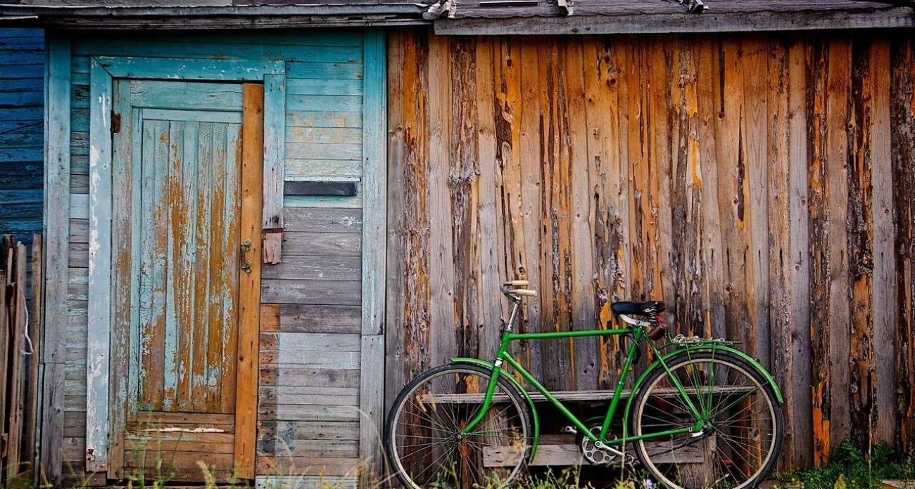 Бешенство в селе Никольское: карантин до 2026 года и запрет на вывоз животных