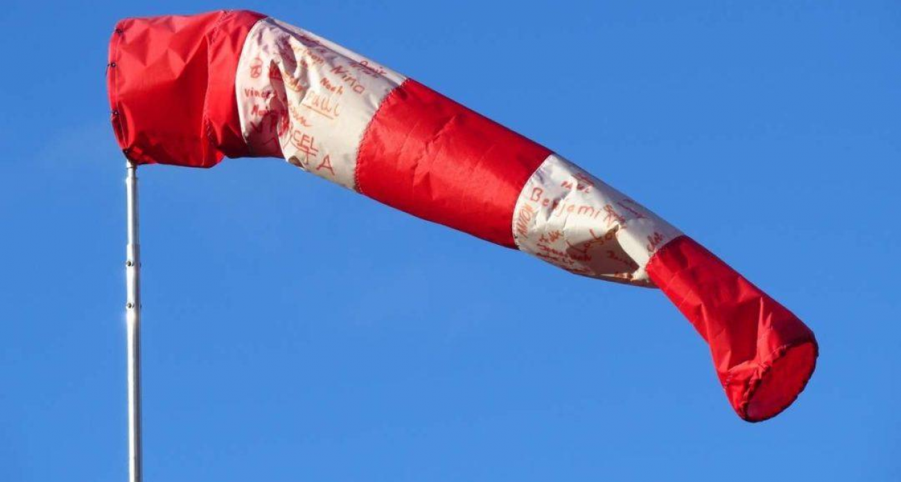 Порывы до 16 м/с: воронежцев предупредили об опасном ветре в течение 12 часов