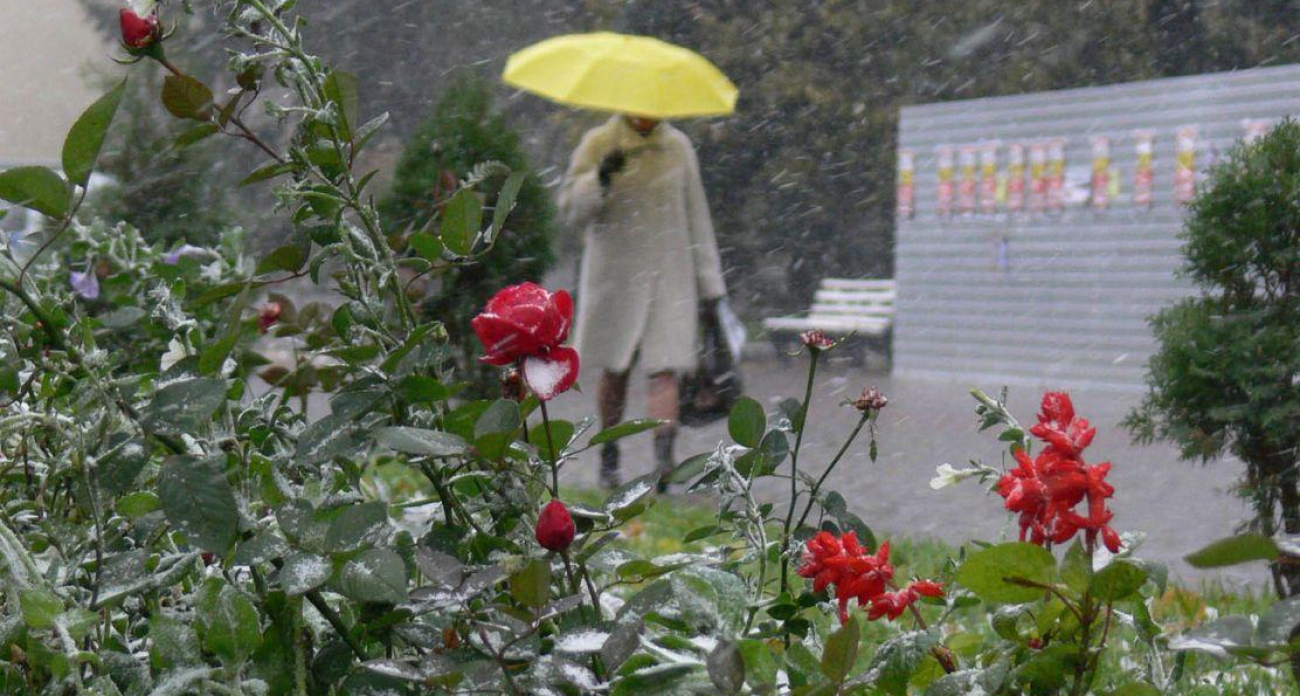 От 0° и мокрого снега до +13°: резкий температурный скачок ждёт Воронеж за три дня