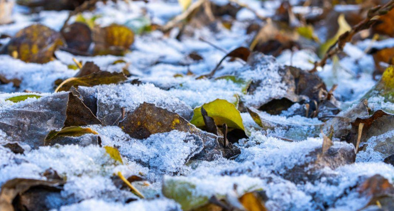 От +10° до гололёда за сутки: воронежцев предупредили об опасном понедельнике 17 ноября