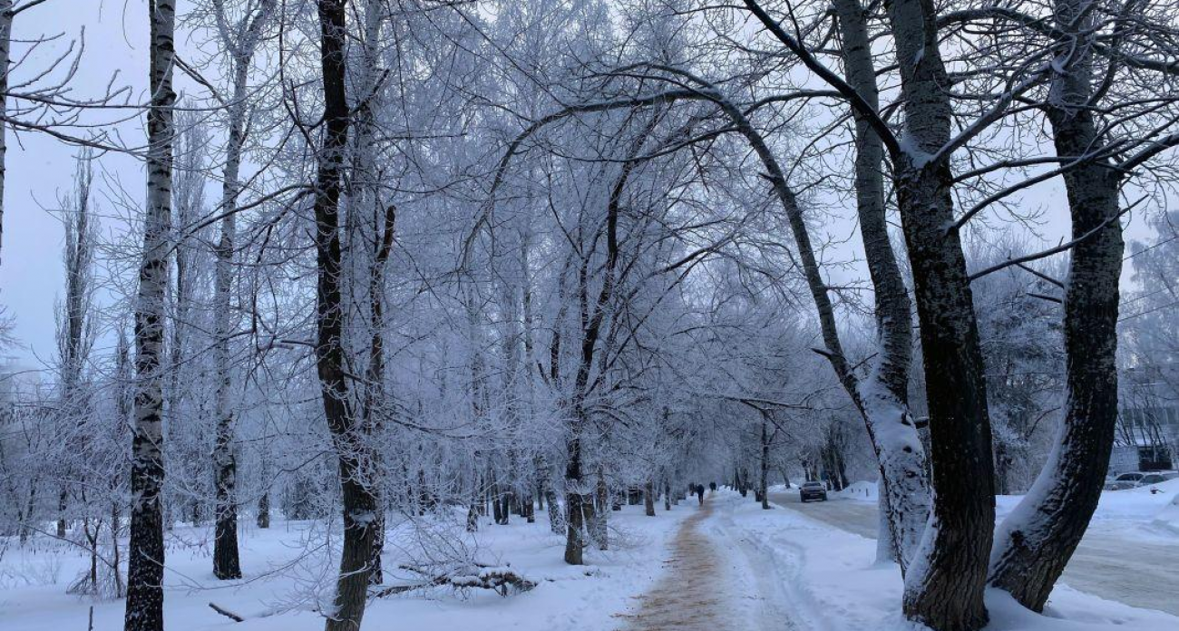«Это выдумки!» Главный синоптик развенчал слухи о морозах до -35° в Воронеже