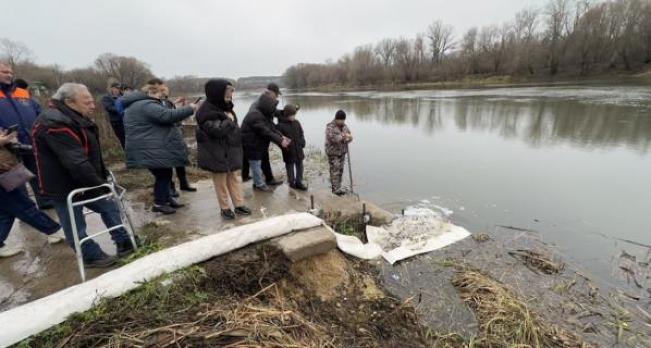 234 тысячи «живых чистильщиков»: в Дон выпустили уникальных мальков-санитаров