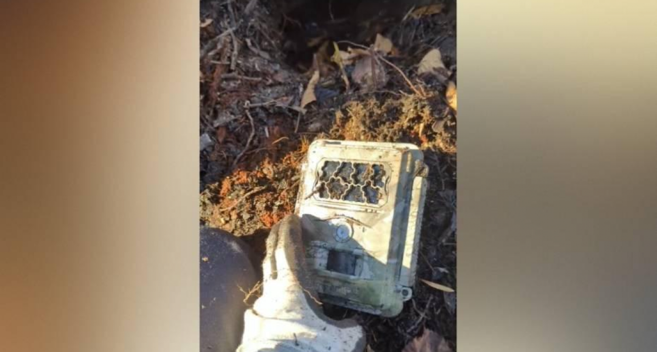 Ондатра зарыла в землю, бобры забаррикадировали: звери Хоперского заповедника объявили войну фотоловушкам