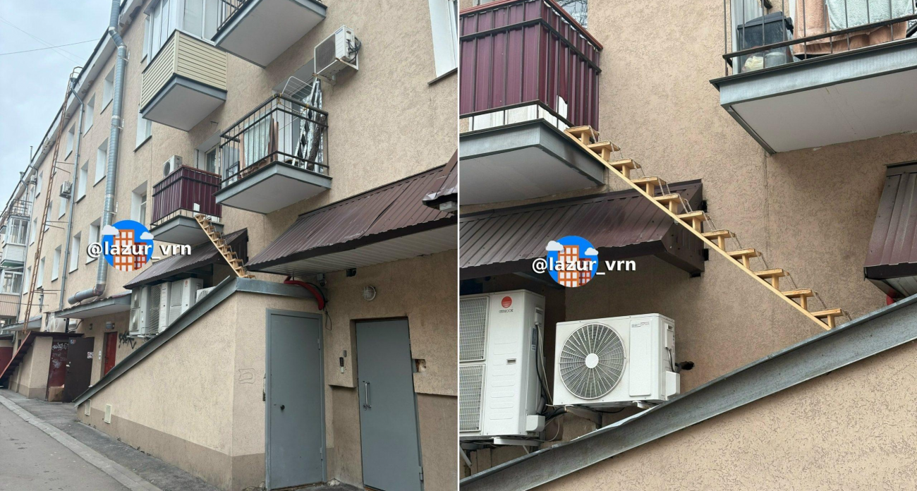 11 ступеней до балкона: воронежцы построили лестницу от подвала для своего кота