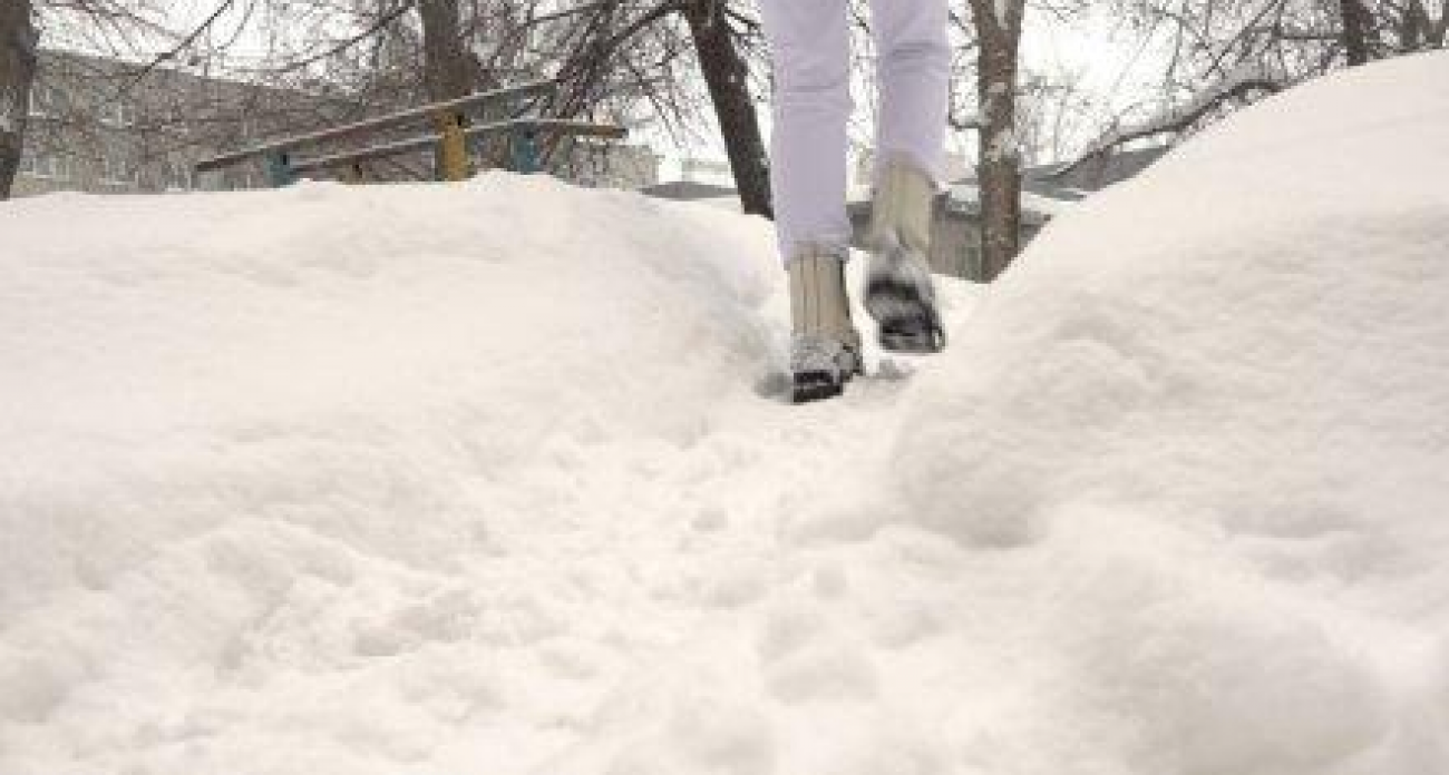 20 декабря Воронеж накроет снегопадом: температура упадёт до -4 градусов