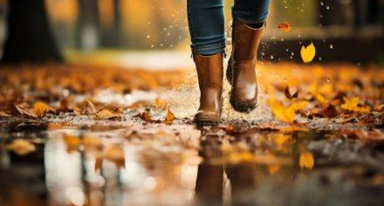 Дожди и ветер до 13 м/с: последняя неделя ноября в Воронеже начнётся с непогоды