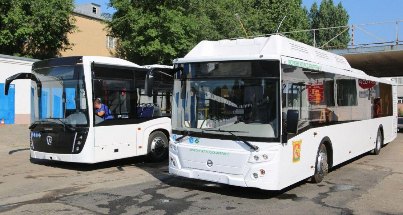 Воронеж и Запорожье связал автобус через день: 19 часов в пути до Мелитополя