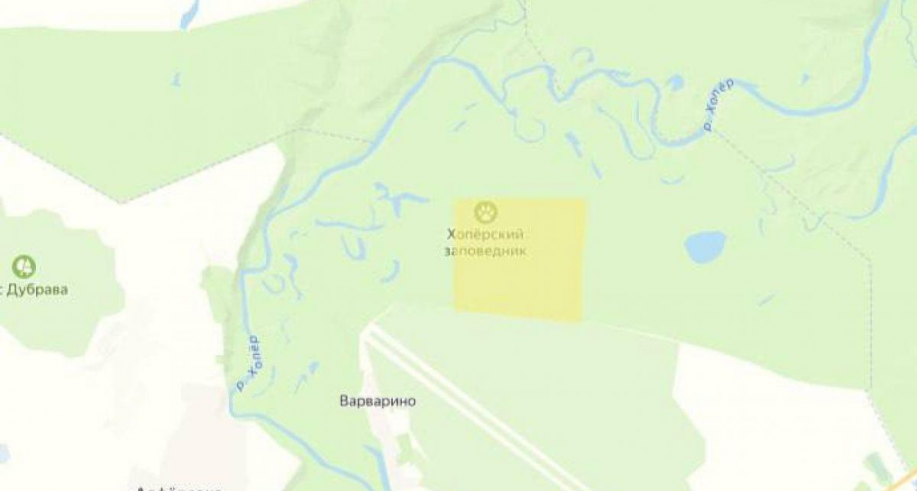 Мишустин расширил Хоперский заповедник, переведя лесные земли под охрану