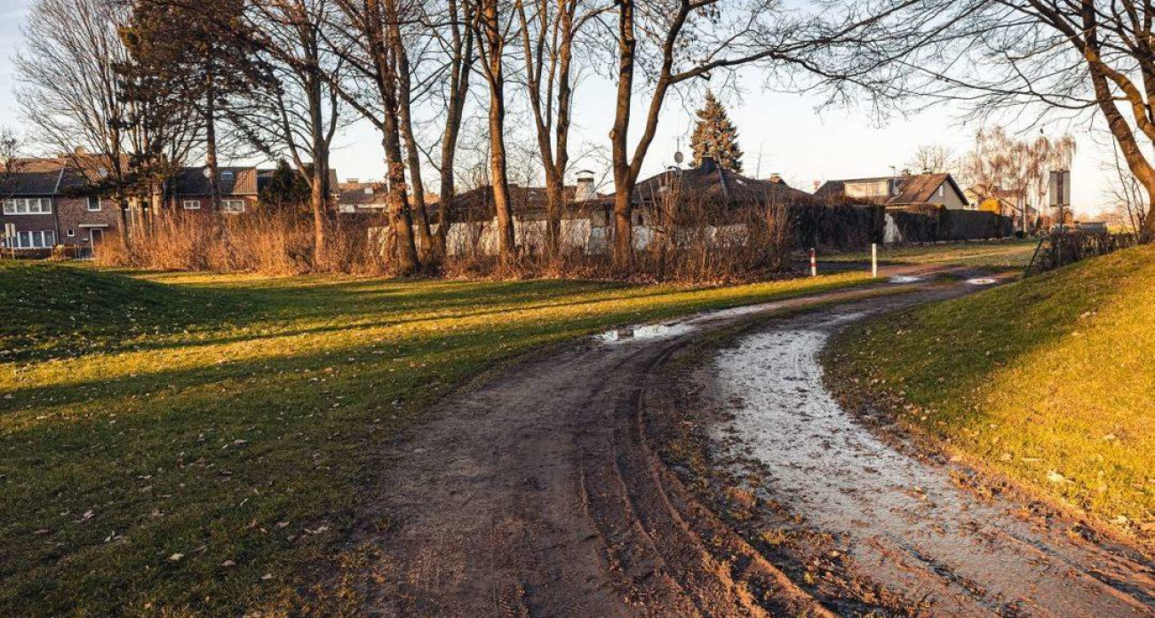 Карантин по бешенству в Малышево сняли на два дня раньше: лисица на Октябрьской заразила район