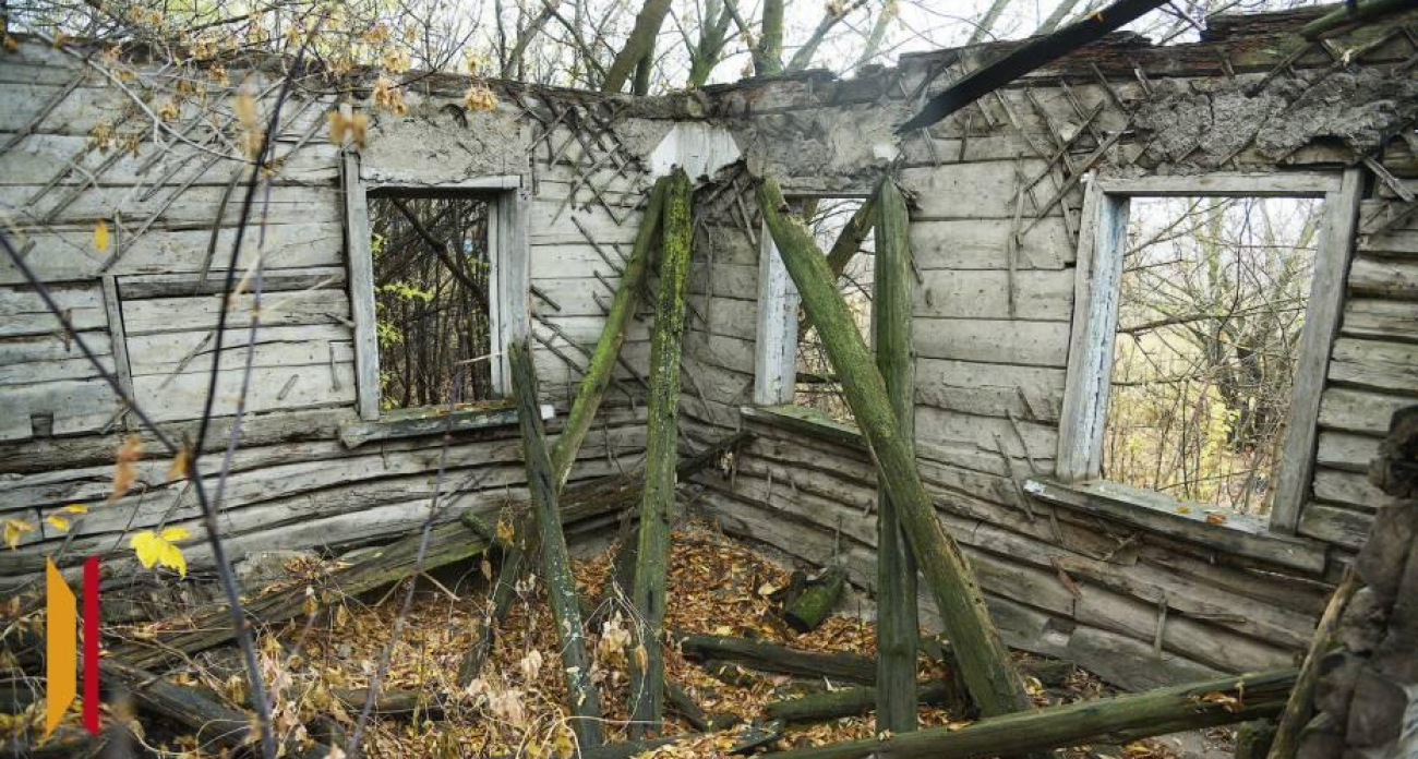 Что делать с заброшенной землей: Росреестр раскроет секреты спасения участков на горячей линии 27 ноября