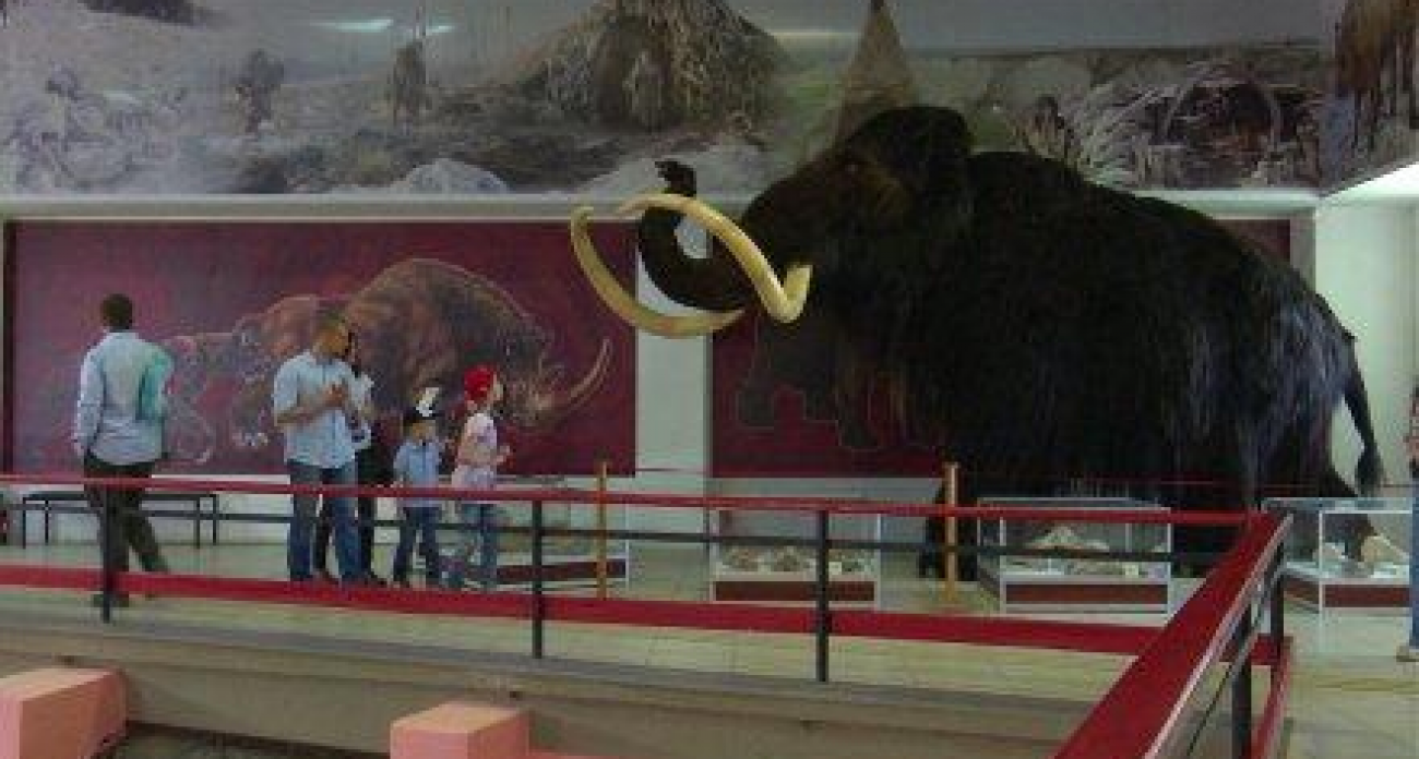 Воронежский музей «Костёнки» нарушил зимнее закрытие: тёплая погода вернула каменный век на неделю