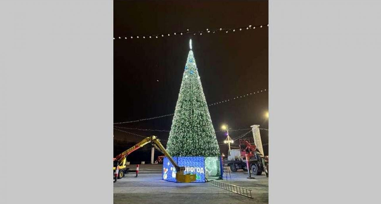 В Воронеже собирают главную елку: ВТБ исполнил мечту жителей