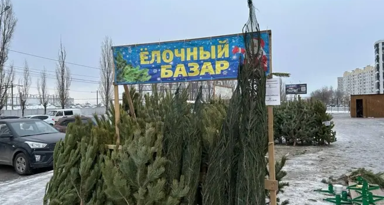 13 дней до Нового года: в Воронеже откроют 19 елочных базаров — адреса и сроки работы