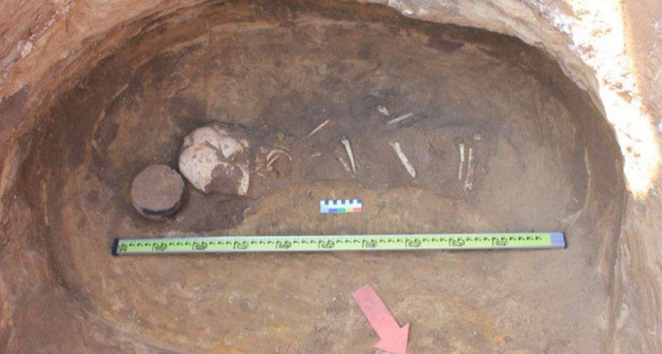 В Воронежской области раскопали два погребения бронзового века возрастом 5000 лет
