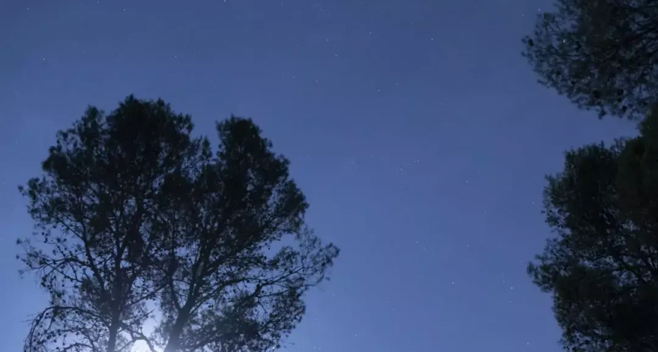 Сирены и 11 часов тревоги: Воронежская область пережила ночь под угрозой атаки БПЛА