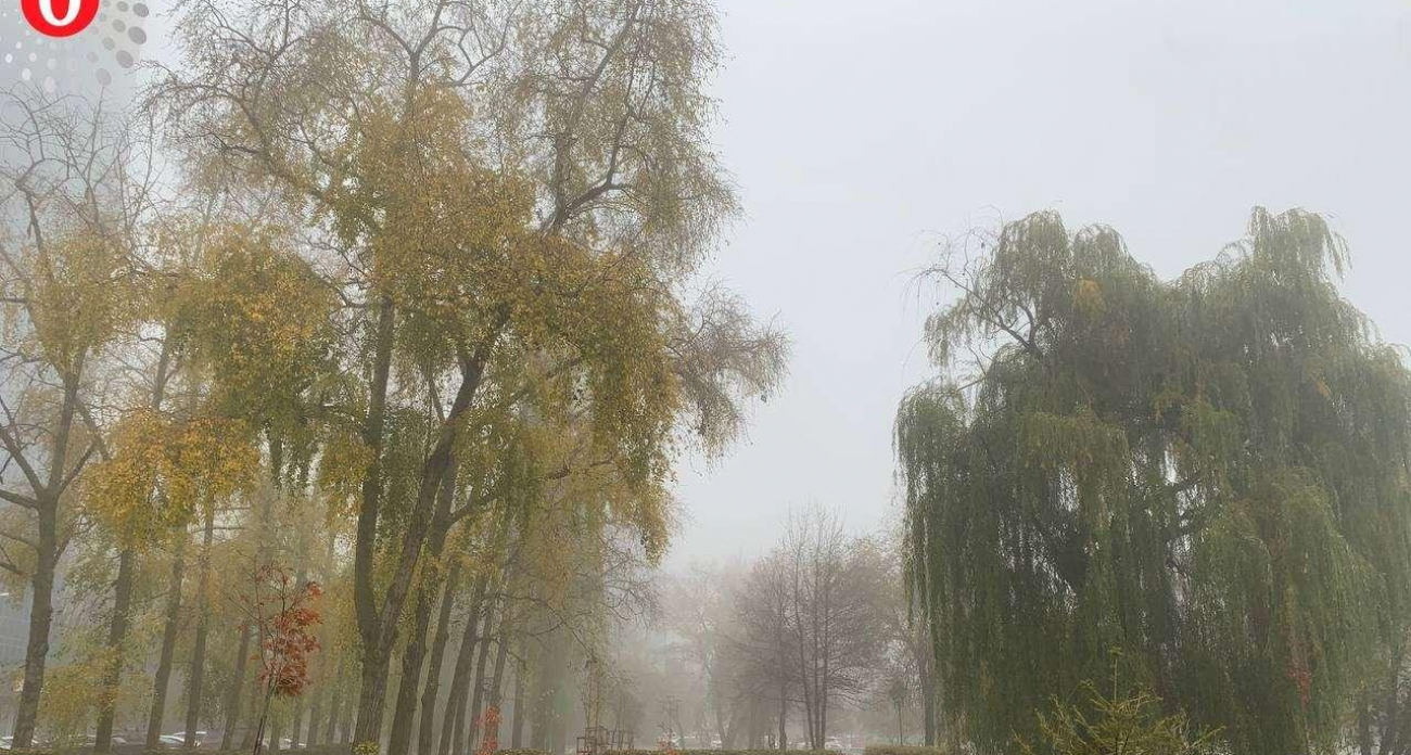 Желтый уровень опасности: туман в Воронежской области продлили до 18.00 воскресенья