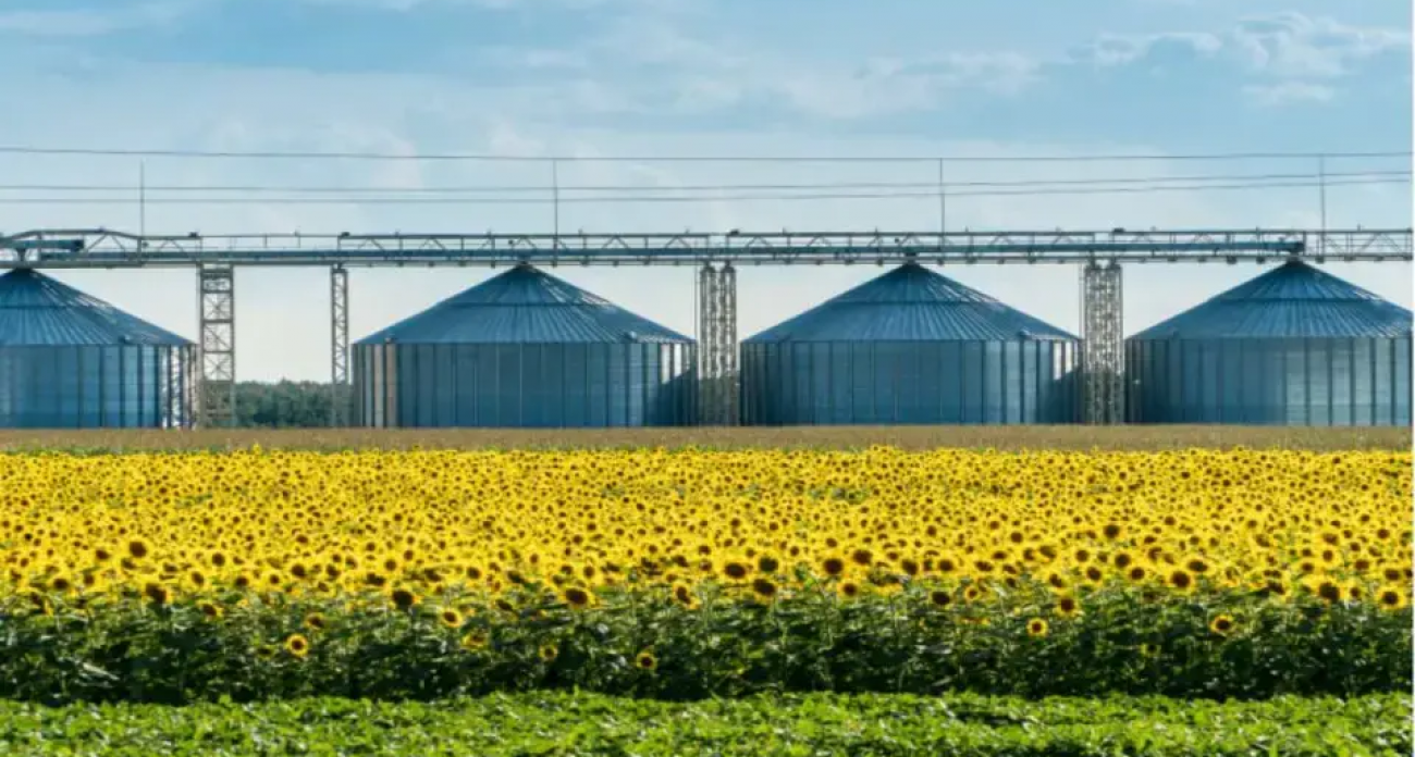 «Благо-верхняя Хава» ответила на иск в 95,5 млн рублей встречными требованиями на 101 млн к «Искре»