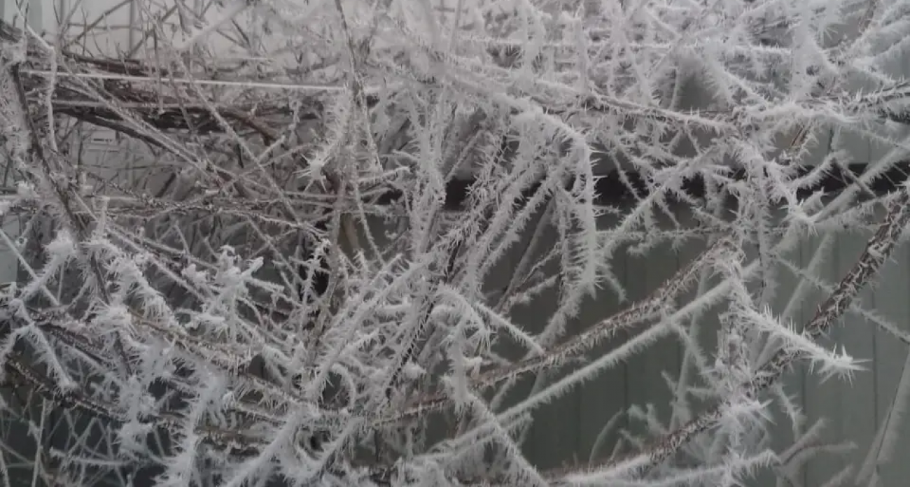 Морозы до -5°: Воронежскую область ударит холодом перед Новым годом