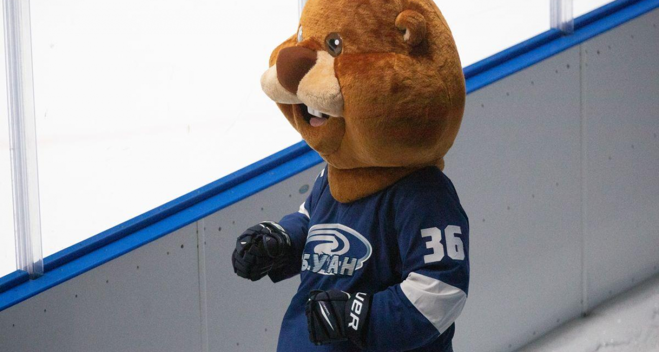 «Дизель» разгромил «Буран» 6:3, забив четыре гола во втором периоде