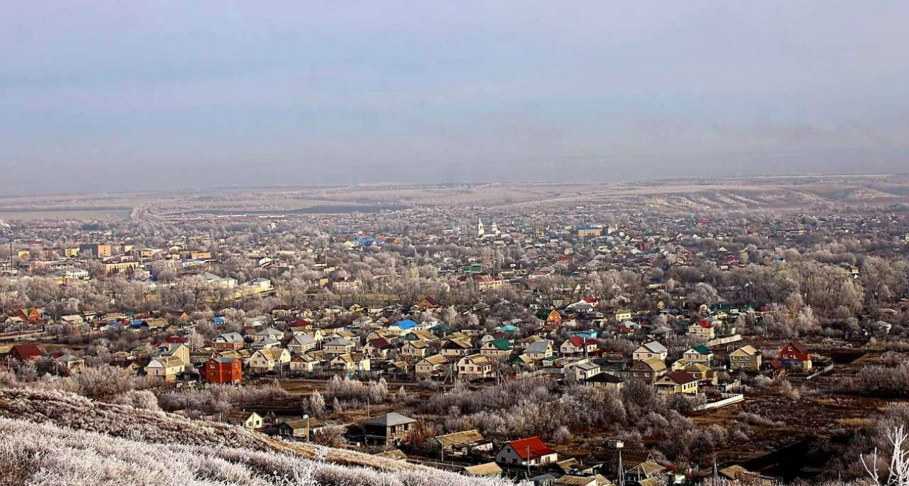 Карантин по бешенству в Калаче снят после обнаружения инфекции у кошки