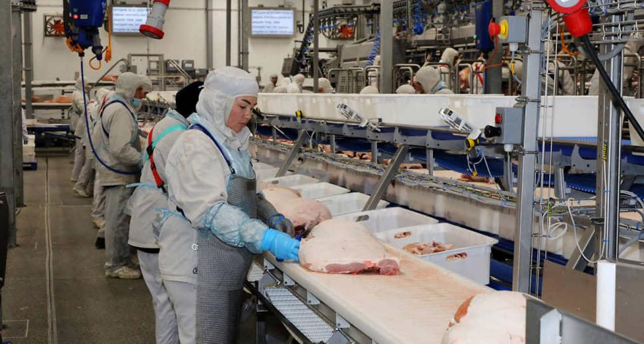 «Агроэко» выплатила инвесторам 143,7 млн рублей по облигациям