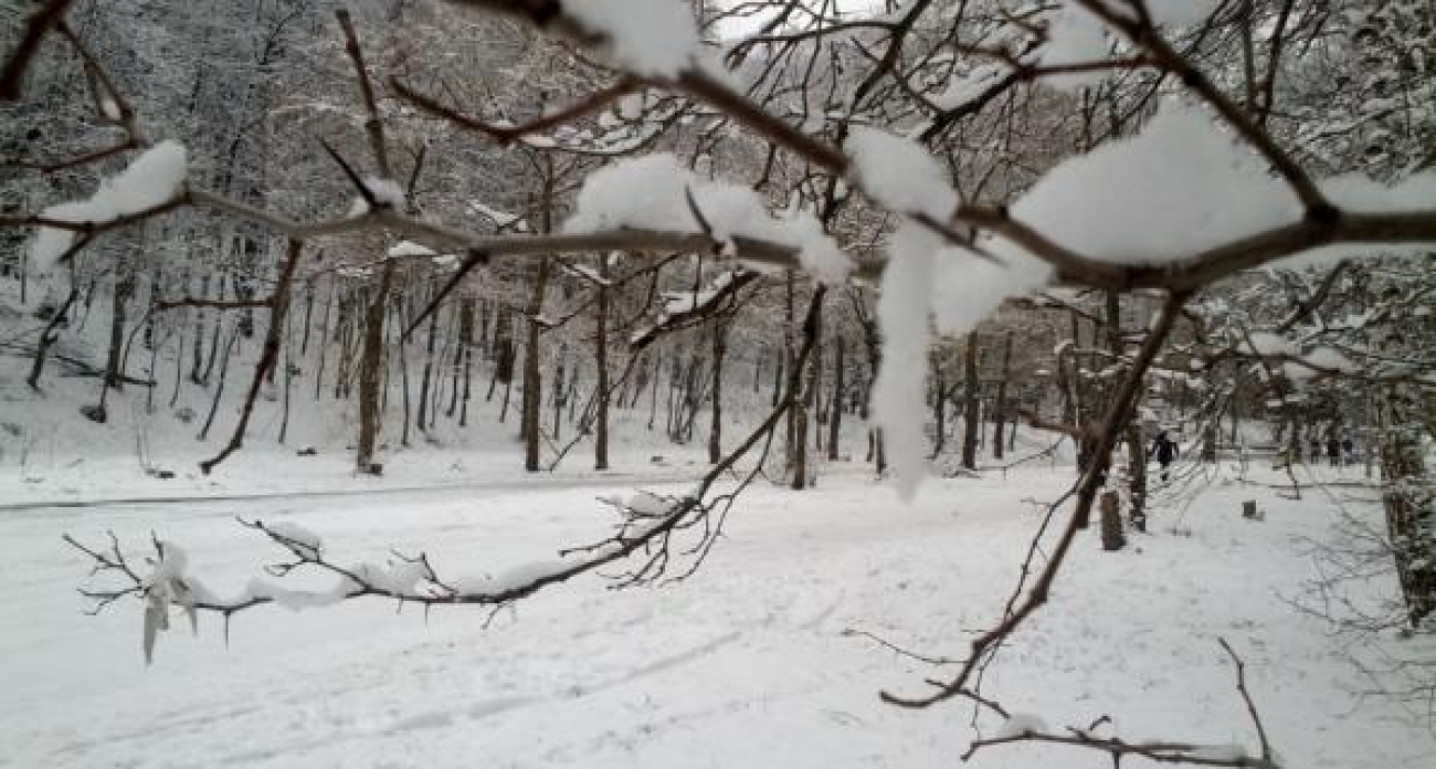 Ветер до 17 м/с и снежный апокалипсис: Воронежскую область готовят к худшему