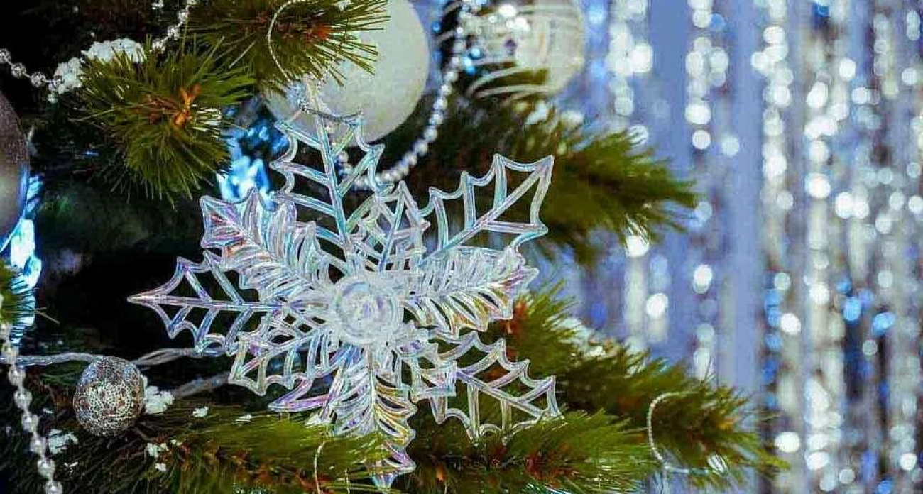 В новогоднюю ночь Воронеж ждут -11 градусов и непрерывный снег