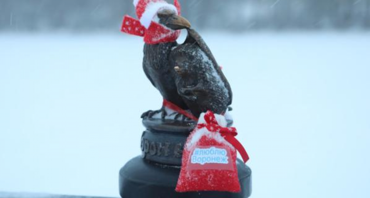 Ворон и еж в праздничных костюмах покорили Воронеж к Новому году