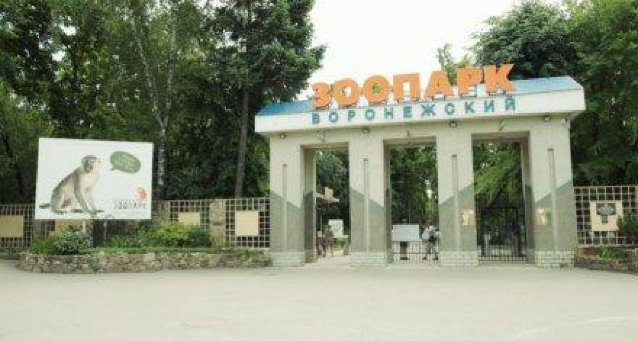 Зоопарк закрыт только в день льготы: новогодний график с 31 декабря