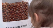 В парке "Танаис" установили автоматы с кормом для белок
