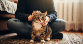 Кошки чувствуют этих людей на расстоянии: 6 тайных признаков, по которым они выбирают своих любимцев