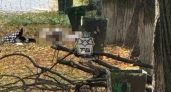 Воронеж: тело девушки в сквере у ГАУ и прогноз КПРФ о явке СВОшника - главные новости за 24 сентября