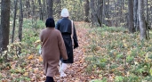 Скорпионы помнят каждую обиду десятилетиями: что происходит в их душе и как это влияет на всю жизнь