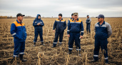 Воронежская область отменила ЧС после урагана и града, уничтоживших урожай в двух районах