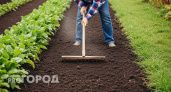 Агроном с 30-летним стажем раскрыл смесь из трёх компонентов, которая за 200 рублей превращает почву в чернозём